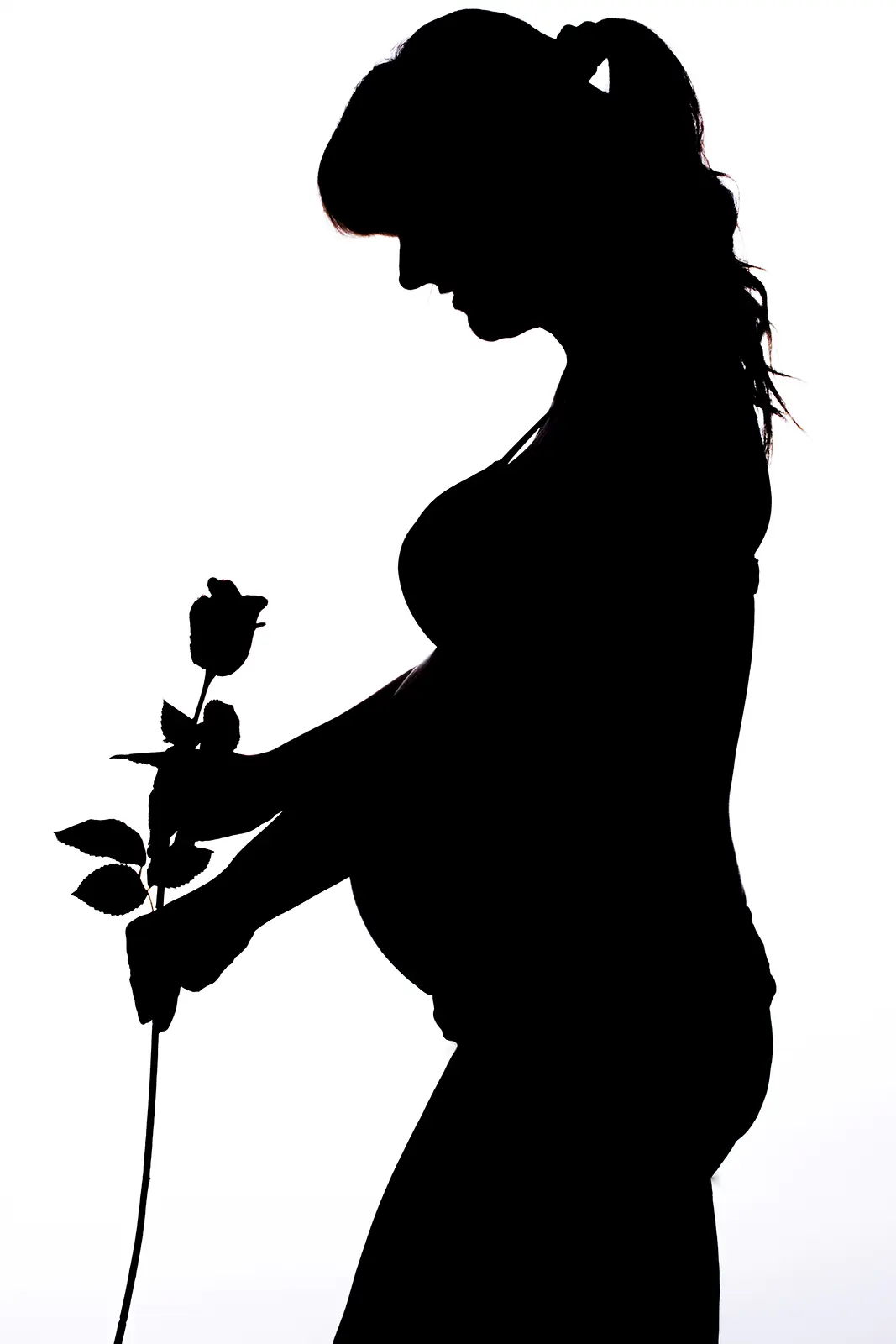 Silhouette di futura mamma con rosa su fondo chiaro, book fotografico gravidanza in studio a Milano